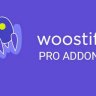 Woostify Pro Add-ons For WordPress